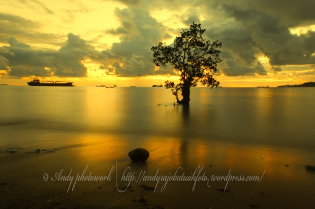 Download this Pantai Nirwana Padang Silhouette Tree picture